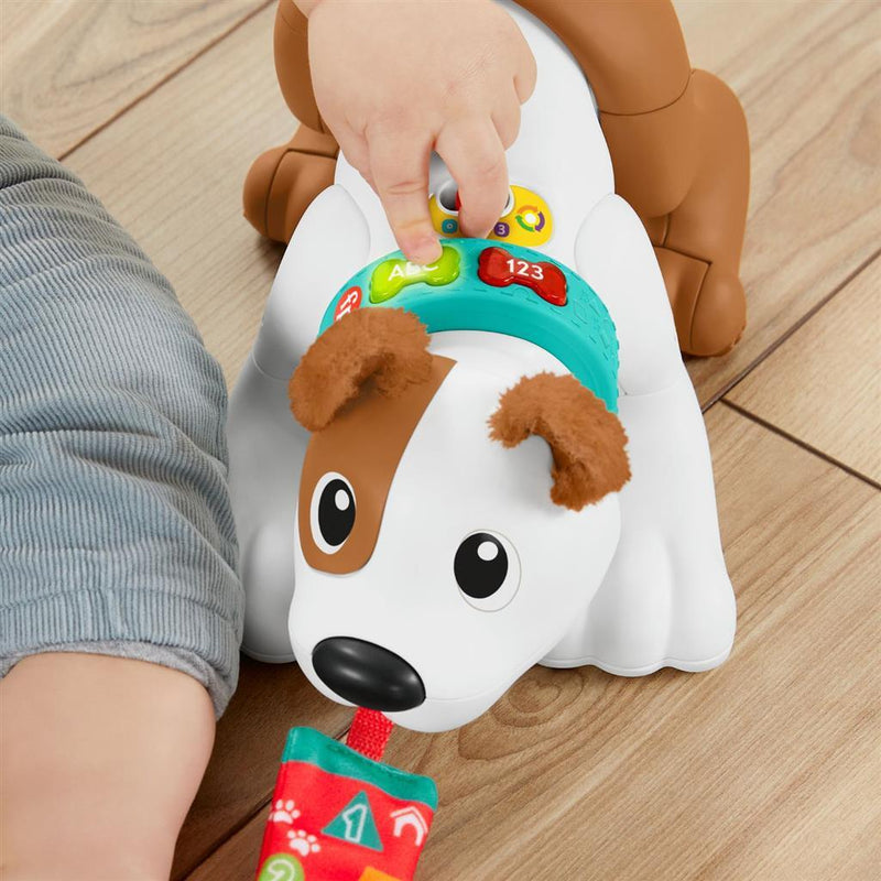 Load image into Gallery viewer, Fisher price crawl with me puppy + licht en geluid