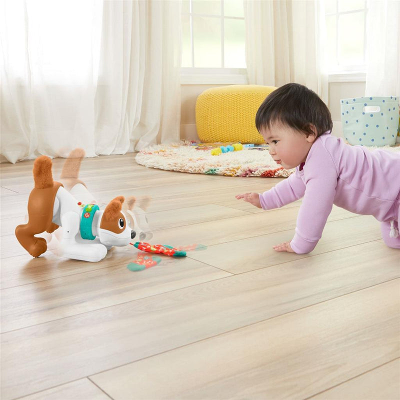 Load image into Gallery viewer, Fisher price crawl with me puppy + licht en geluid