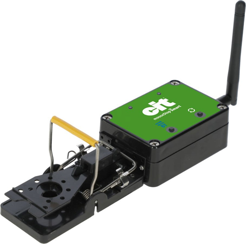 Load image into Gallery viewer, Muizenval smart cit mousestop