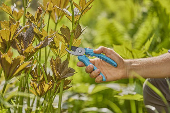 Load image into Gallery viewer, Gardena snoeischaar easycut