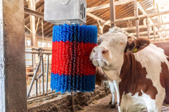 Load image into Gallery viewer, Happycow koeborstel midiswing