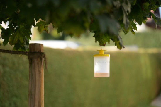 Load image into Gallery viewer, Kerbl vliegenval flycage3