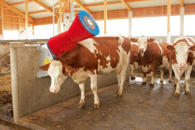 Load image into Gallery viewer, Happycow koeborstel uno horizontaal