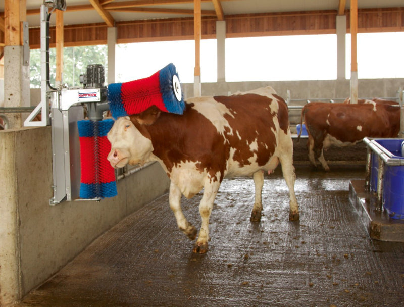 Load image into Gallery viewer, Happycow koeborstel duo