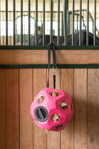 Load image into Gallery viewer, Voederspeel bal roze