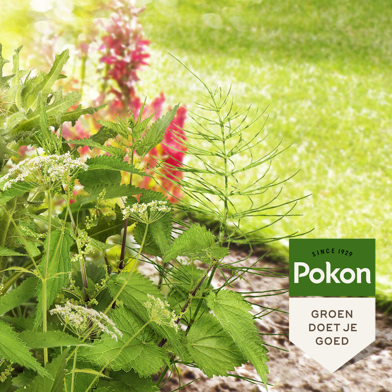 Load image into Gallery viewer, Pokon tegen hardnekkig onkruid concentraat 100ml weedex