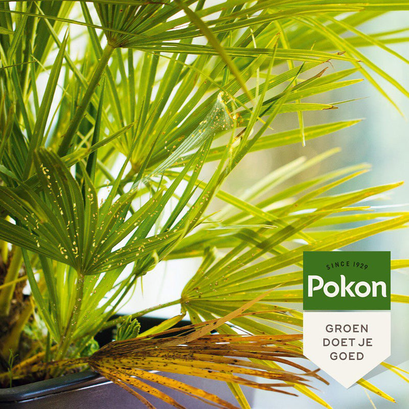 Load image into Gallery viewer, Pokon bio tegen hardnekkige insecten concentraat 175ml poly