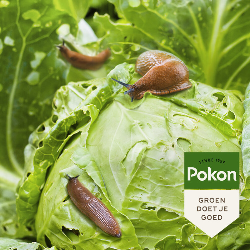 Load image into Gallery viewer, Pokon producten bio tegen slakken korrels 900gr