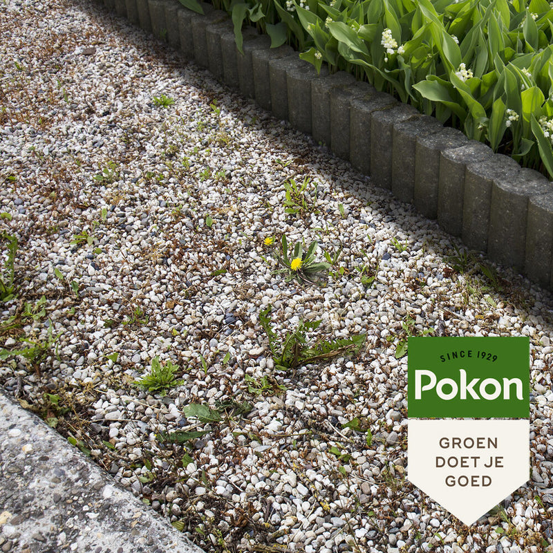 Load image into Gallery viewer, Pokon tegen onkruid concentraat 450ml