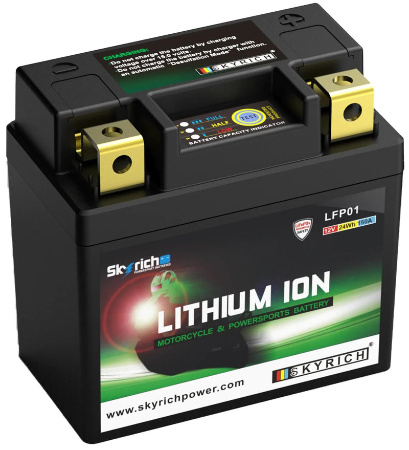 Load image into Gallery viewer, Skyrich lifepo4 batterie lfp01 battery lfp01-i lithium