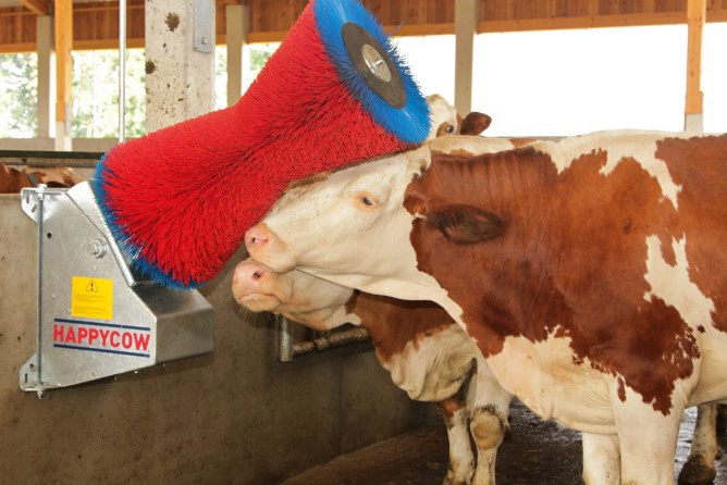 Load image into Gallery viewer, Happycow koeborstel uno horizontaal