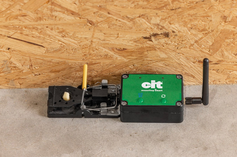 Load image into Gallery viewer, Muizenval smart cit mousestop