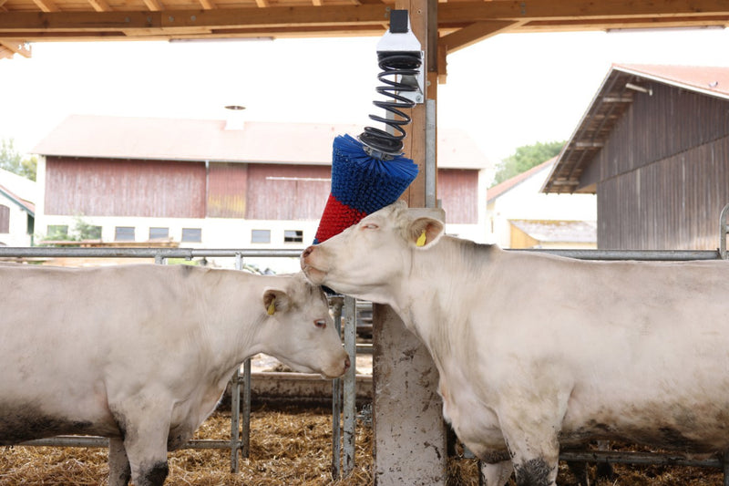 Load image into Gallery viewer, Happycow veeborstel flexiswing