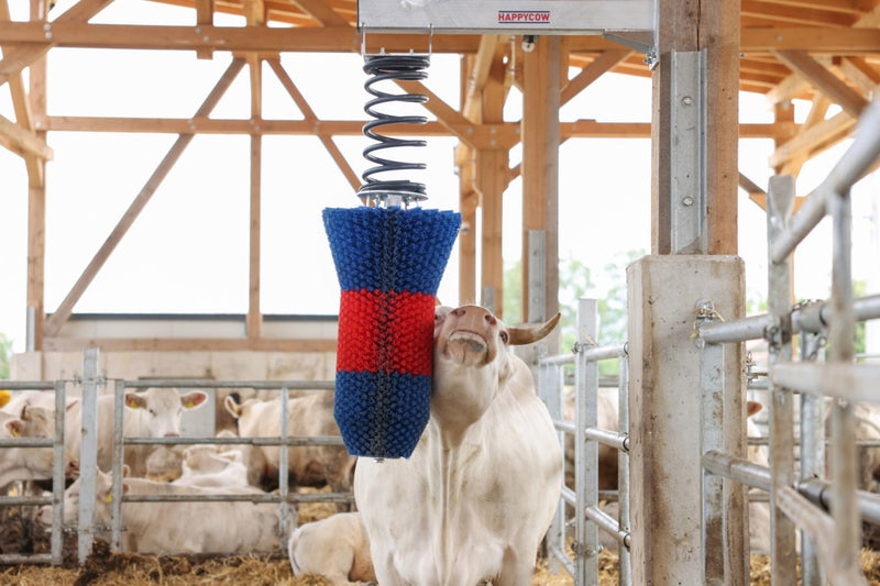 Load image into Gallery viewer, Happycow veeborstel flexiswing