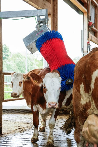 Load image into Gallery viewer, Happycow koeborstel maxiswing