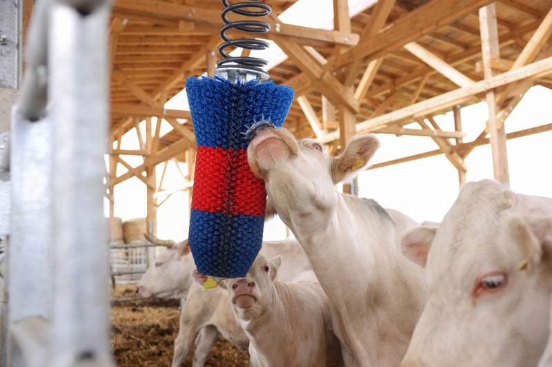 Load image into Gallery viewer, Happycow veeborstel flexiswing