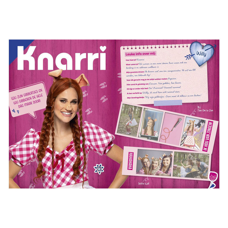 Load image into Gallery viewer, K3 : 3 biggetjes fanboek met stickers