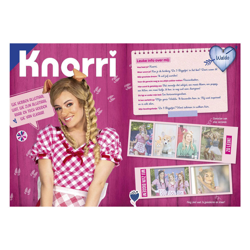 Load image into Gallery viewer, K3 : 3 biggetjes fanboek met stickers