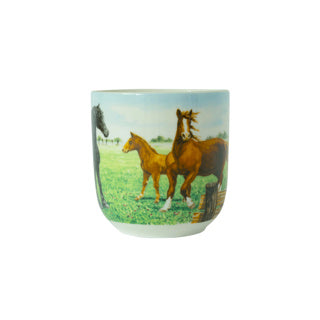 Afbeelding laden in galerijviewer, Wiebe van der zee beker xl paard 41 cl wiebe