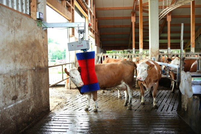 Load image into Gallery viewer, Happycow koeborstel maxiswing
