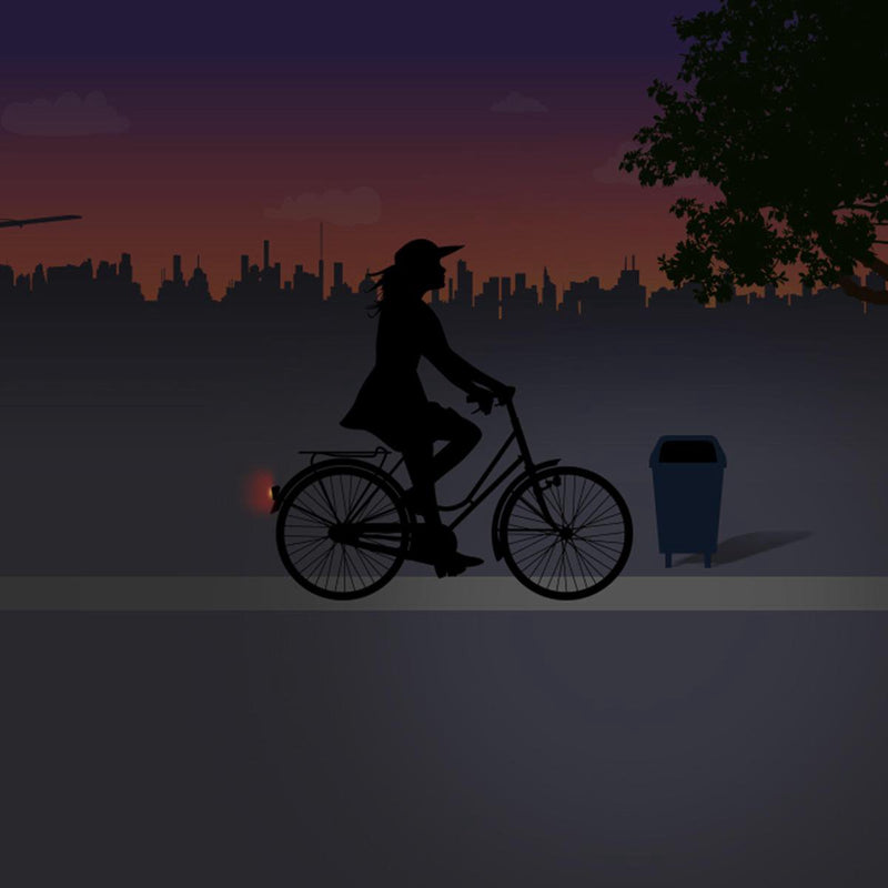 Load image into Gallery viewer, Spanninga achterlicht Pixeo Xb batterij spatbord chroom