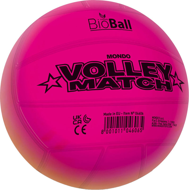 Load image into Gallery viewer, Mondo volleybal regenboog, 22cm
