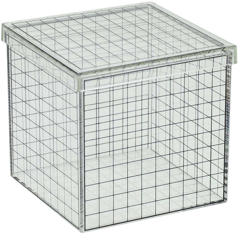 Load image into Gallery viewer, Albatros hengelsport transparante 3d rasterkubus - 10x10x10 cm