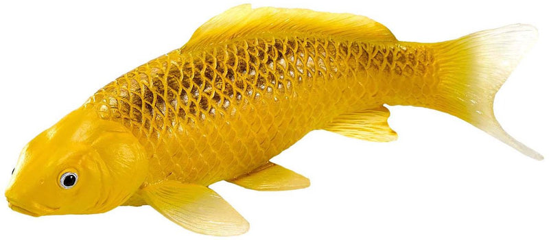 Load image into Gallery viewer, Mojo sealife koi karper - kin matsuba koi - 381105