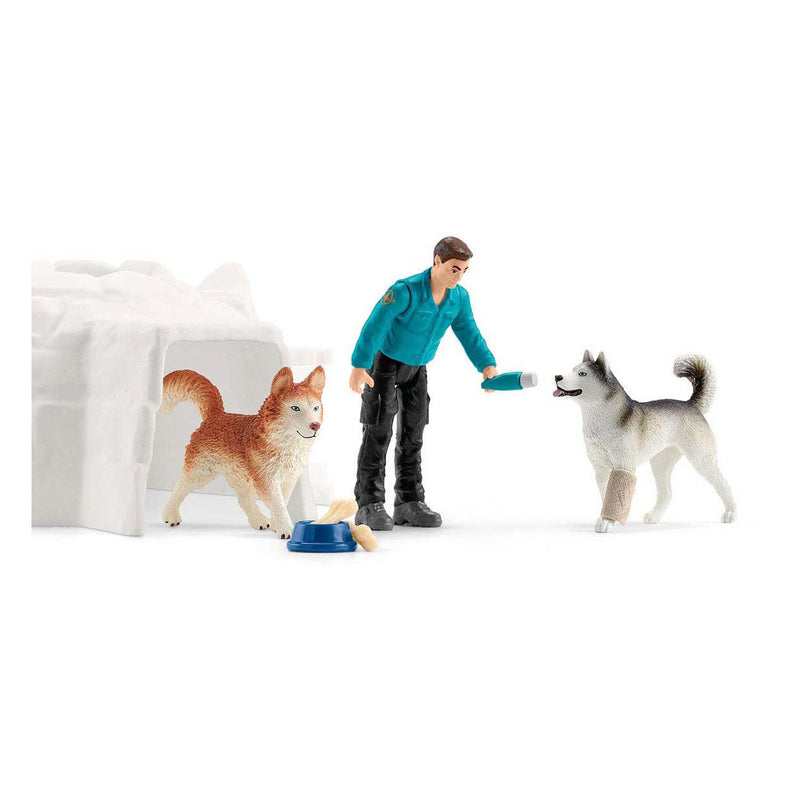 Load image into Gallery viewer, Schleich wild life antartica-expeditie 42558