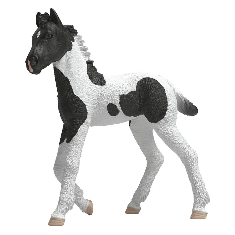 Afbeelding laden in galerijviewer, Schleich horse club verzamelbaar veulen rocky 81481