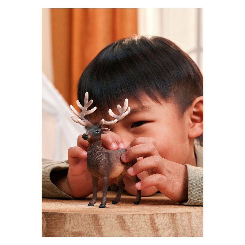 Load image into Gallery viewer, Schleich wild life amerikaans edelhert 14992