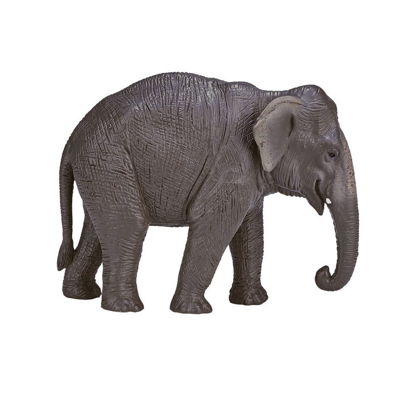 Load image into Gallery viewer, Mojo wildlife aziatische olifant - 387266
