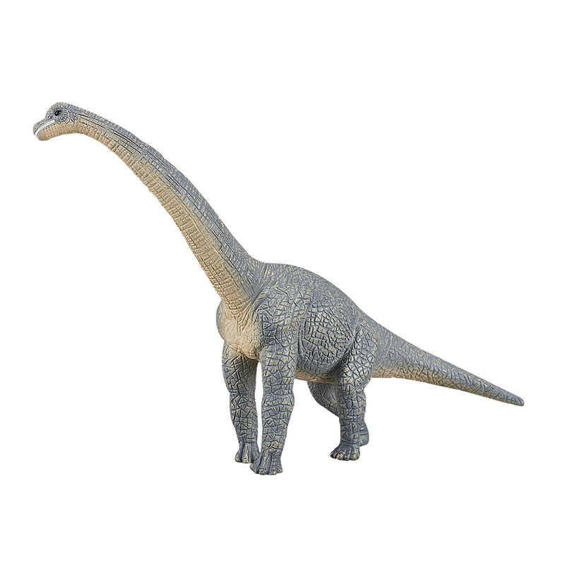 Load image into Gallery viewer, Mojo prehistorie brachiosaurus - 387044