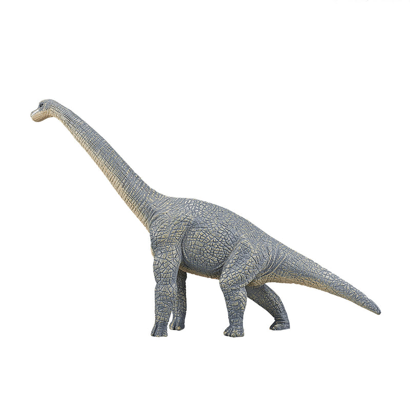 Load image into Gallery viewer, Mojo prehistorie brachiosaurus - 387044