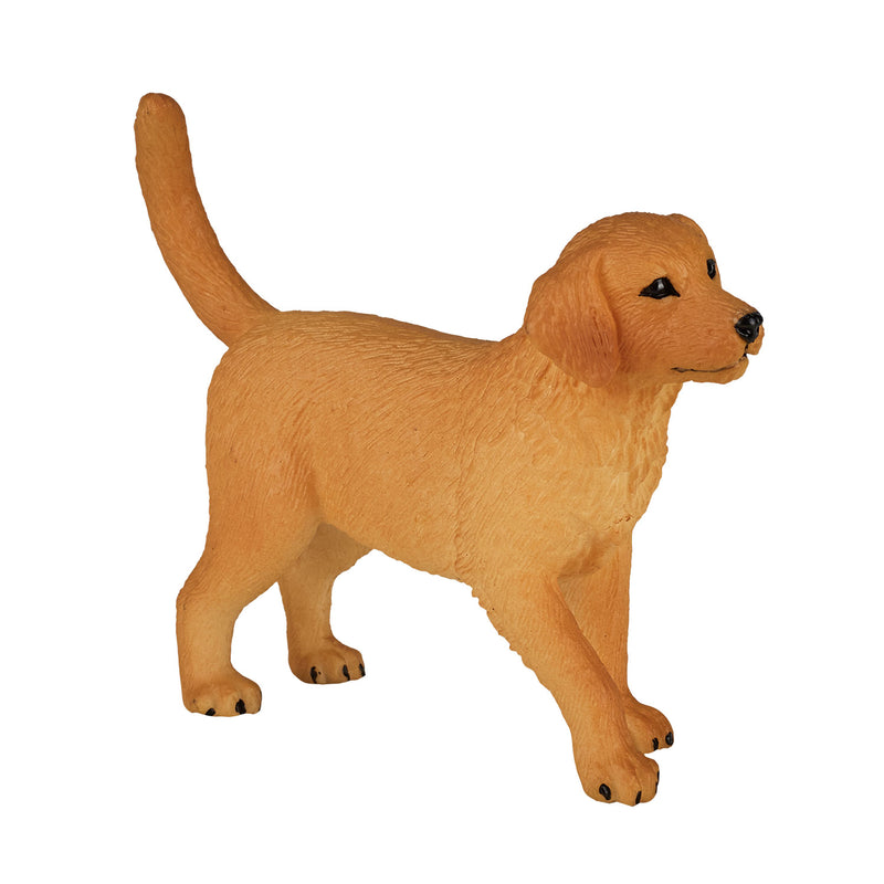 Load image into Gallery viewer, Mojo farmland golden retriever puppy - 387205