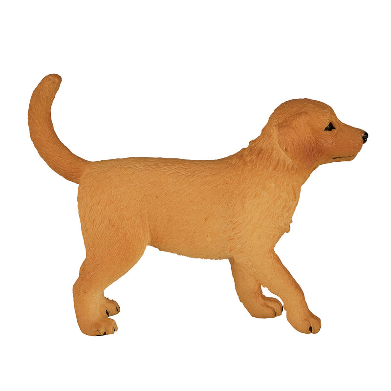 Load image into Gallery viewer, Mojo farmland golden retriever puppy - 387205