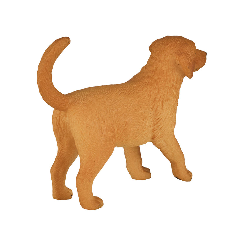Load image into Gallery viewer, Mojo farmland golden retriever puppy - 387205