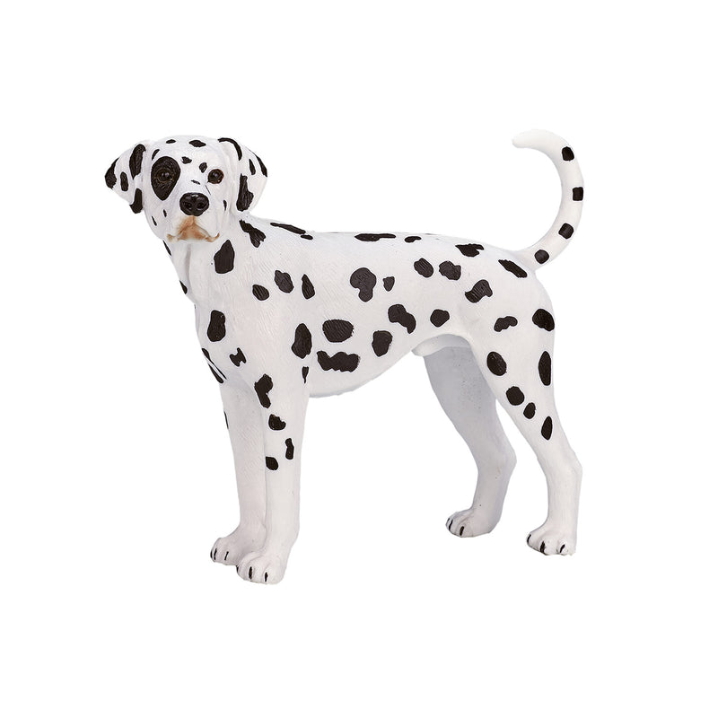 Load image into Gallery viewer, Mojo farmland dalmatiër - 387248