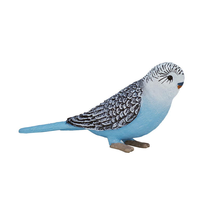 Load image into Gallery viewer, Mojo farmland grasparkiet blauw - 387292