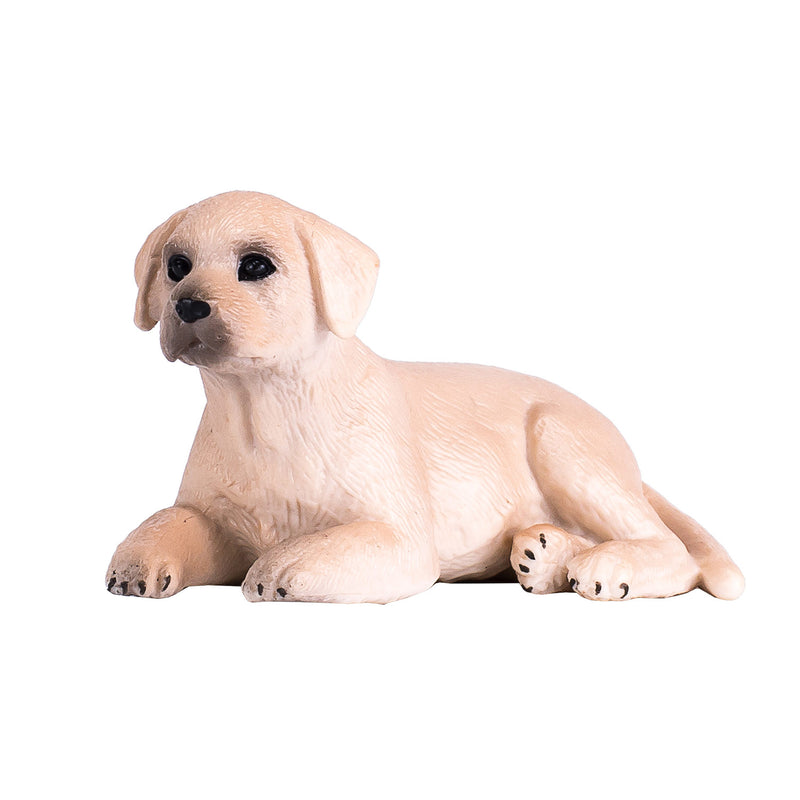 Load image into Gallery viewer, Mojo farmland labrador puppy - 387272