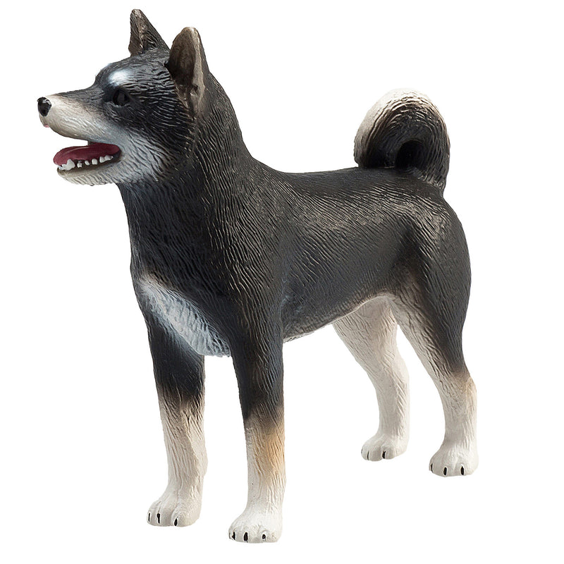 Load image into Gallery viewer, Mojo farmland shiba inu zwart - 387363