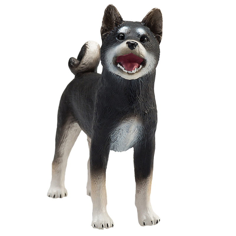 Load image into Gallery viewer, Mojo farmland shiba inu zwart - 387363
