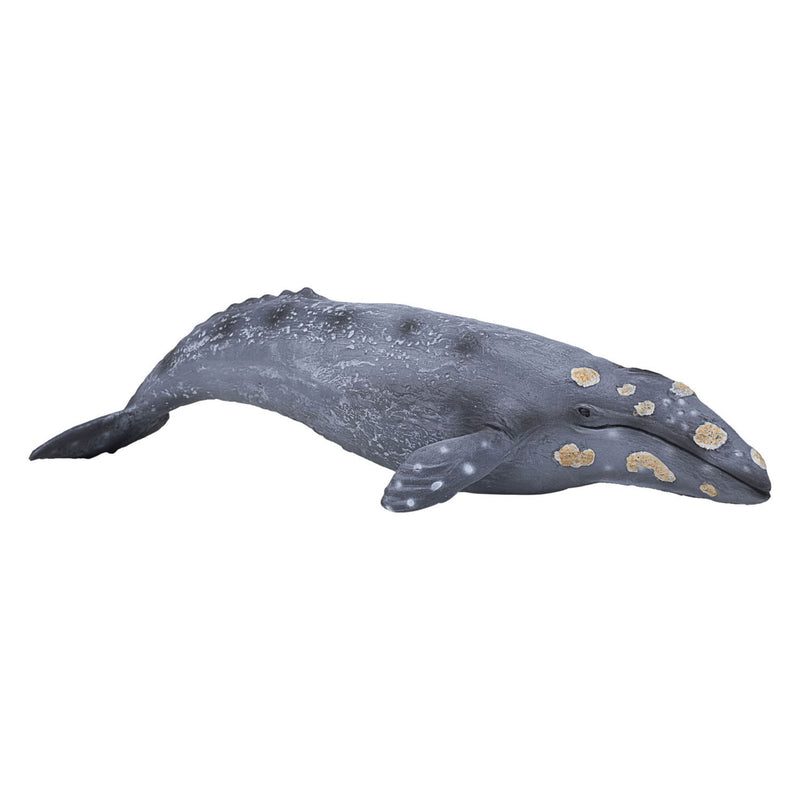 Load image into Gallery viewer, Mojo sealife - grijze walvis 387280