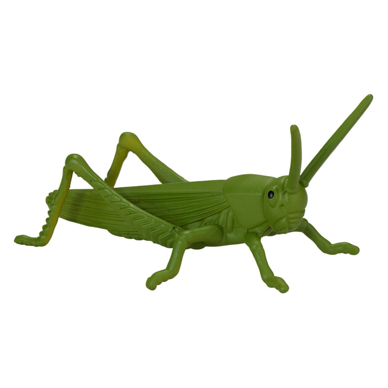 Load image into Gallery viewer, Mojo wildlife mini insecten en spinnen, 12dlg. - 380058