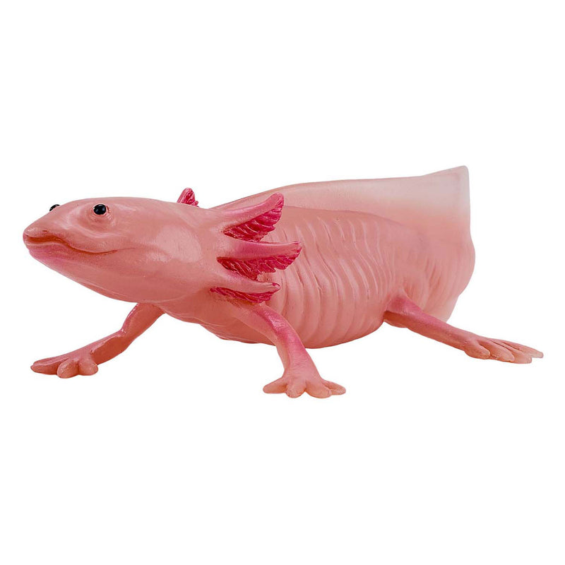 Load image into Gallery viewer, Mojo wildlife axolotl 381108