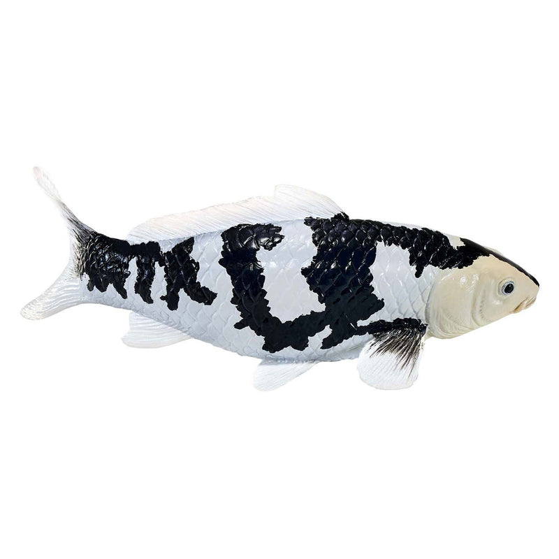 Load image into Gallery viewer, Mojo sealife koi karper - shiro utsuri koi - 381102