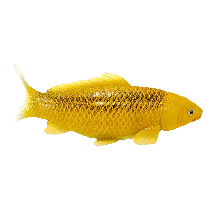 Load image into Gallery viewer, Mojo sealife koi karper - kin matsuba koi - 381105