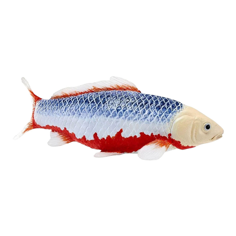 Load image into Gallery viewer, Mojo koi collection - asagi koi blauw rood 381118