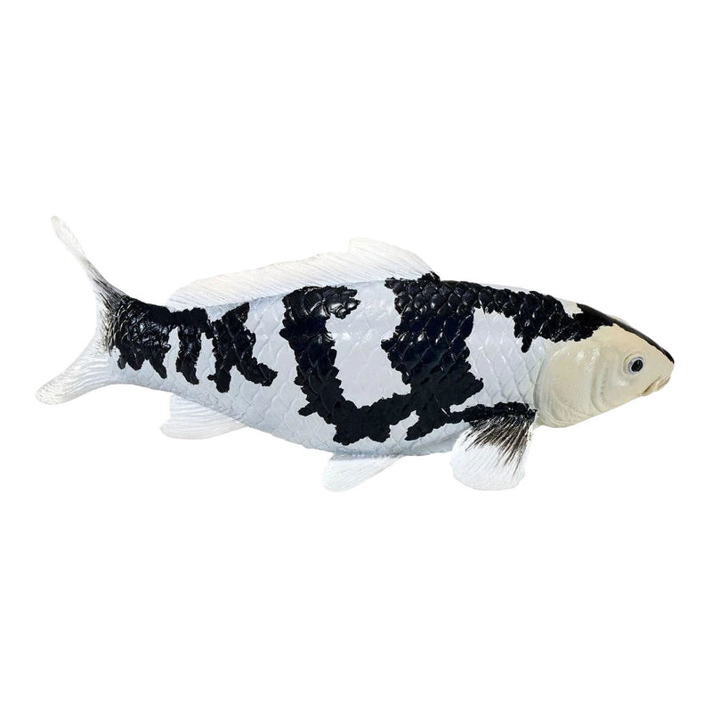 Load image into Gallery viewer, Mojo koi collection - shiro utsuri koi zwart wit 381120