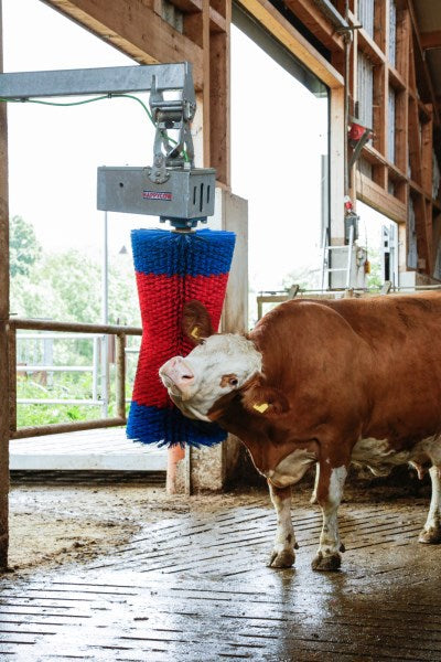 Load image into Gallery viewer, Happycow koeborstel maxiswing